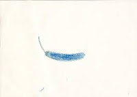 bluepepper